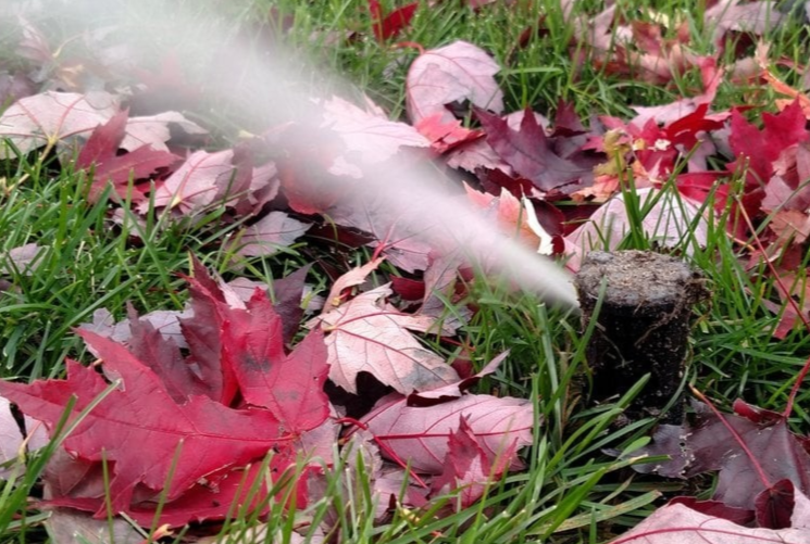 sprinklers being blown-out, irrigation winterization